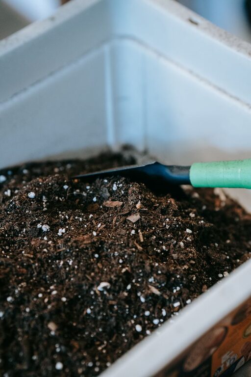Sfaturi utile pentru compostarea de acasă pentru începători
